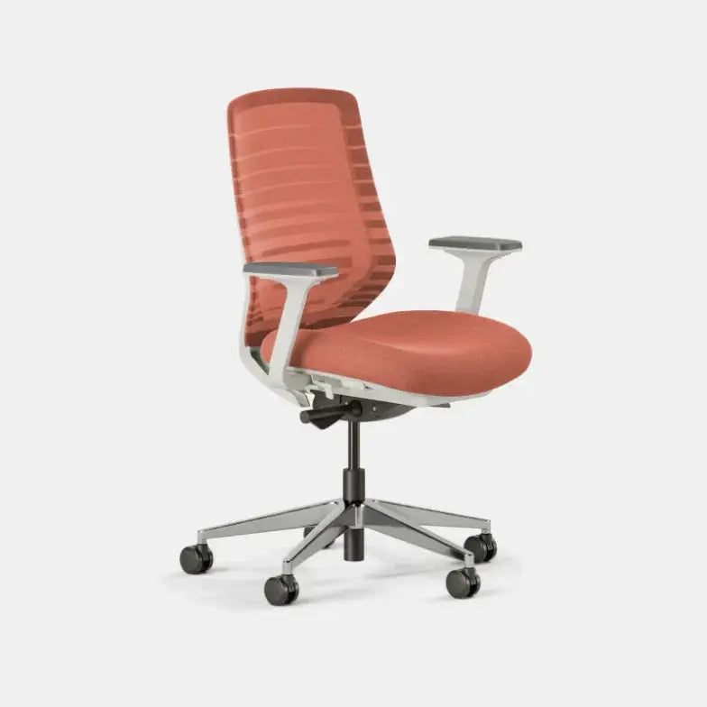 Ergonomic-chair Kangastore™